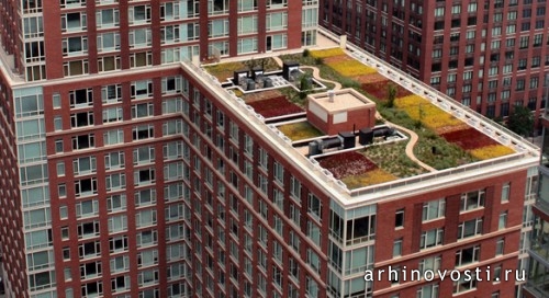 Зелёные крыши от Ж Ливинг Студио(G Living studio). Торонто, Канада.