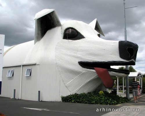 Дом-собака (Sheepdog building), Тирау, Вайкато, Новая Зеландия.