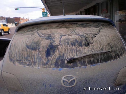 Помой меня снова. Рисунки на стёклах авто._longhorns