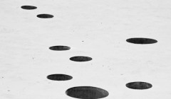 Комплекс кафе + Навес (Shadow Surface), проект бюро Ательемоб (Ateliermob).