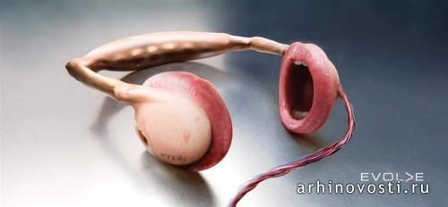 Реклама, Крим Студиос (Cream Studios).