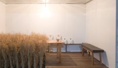 Неделя Дизайна в Токио (Tokyo Designers Week): инсталляции в портовых контейнерах, "Контейнер как основа" (Container Ground). Неделя Дизайна в Токио (Tokyo Designers Week): инсталляции в портовых контейнерах, "Контейнер как основа" (Container Ground).