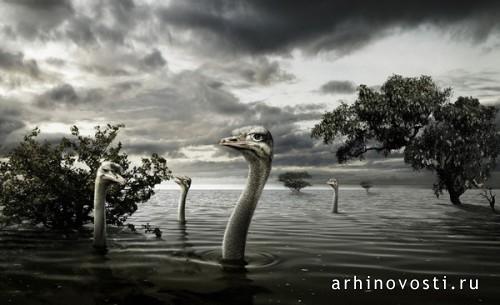 Реклама, Штодингер + ФРанке (Staudinger+Franke).