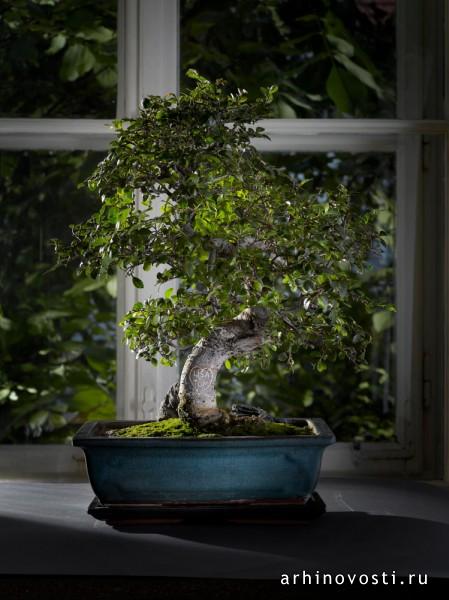 Реклама, студия Вьенна Пэйнт (Vienna Paint).