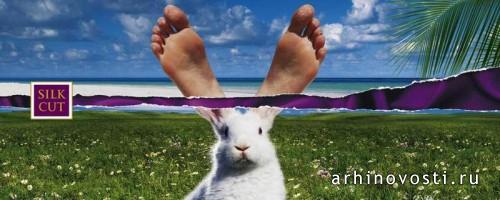 Реклама, студия Вьенна Пэйнт (Vienna Paint).