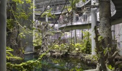 Новое здание Калифорнийской Академии Наук (California Academy of Sciences), архитектор Ренцо Пьяно (Renzo Piano), Сан Франциско, Америка.