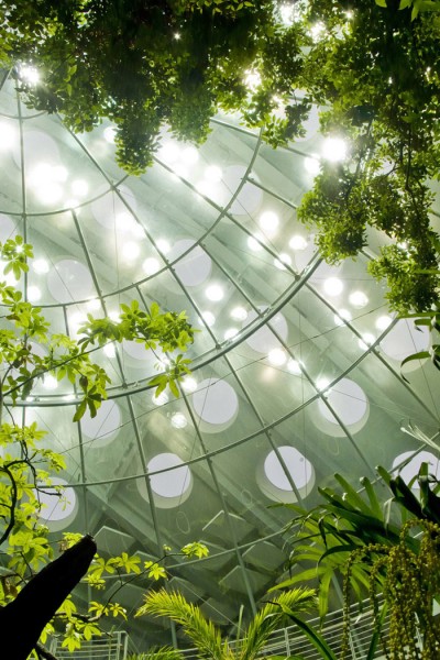 Новое здание Калифорнийской Академии Наук (California Academy of Sciences), архитектор Ренцо Пьяно (Renzo Piano), Сан Франциско, Америка.