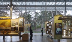 Новое здание Калифорнийской Академии Наук (California Academy of Sciences), архитектор Ренцо Пьяно (Renzo Piano), Сан Франциско, Америка.