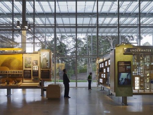 Новое здание Калифорнийской Академии Наук (California Academy of Sciences), архитектор Ренцо Пьяно (Renzo Piano), Сан Франциско, Америка.