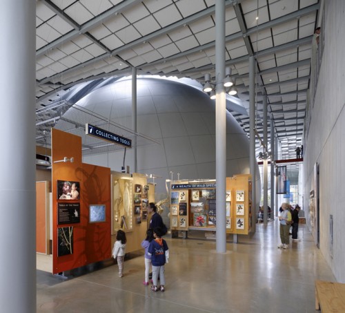 Новое здание Калифорнийской Академии Наук (California Academy of Sciences), архитектор Ренцо Пьяно (Renzo Piano), Сан Франциско, Америка.