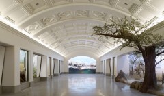 Новое здание Калифорнийской Академии Наук (California Academy of Sciences), архитектор Ренцо Пьяно (Renzo Piano), Сан Франциско, Америка.