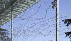 Новое здание Калифорнийской Академии Наук (California Academy of Sciences), архитектор Ренцо Пьяно (Renzo Piano), Сан Франциско, Америка.