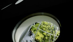 Новое здание Калифорнийской Академии Наук (California Academy of Sciences), архитектор Ренцо Пьяно (Renzo Piano), Сан Франциско, Америка.