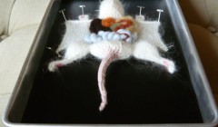 Вязаные игрушки из коллекции "Вязаная биология" (Knitting in Biology 101).