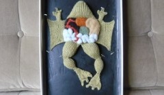 Вязаные игрушки из коллекции "Вязаная биология" (Knitting in Biology 101).