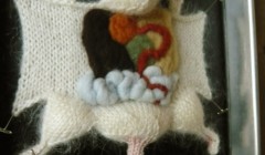 Вязаные игрушки из коллекции "Вязаная биология" (Knitting in Biology 101).