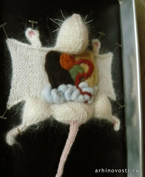 Вязаные игрушки из коллекции "Вязаная биология" (Knitting in Biology 101).