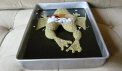 Вязаные игрушки из коллекции "Вязаная биология" (Knitting in Biology 101).