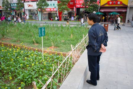 Проект "Земной город" (Landgrab City), Джозес Грима (Joseph Grima), Джеффри Джонсон (Jeffrey Johnson) и Жозе Эспарза (José Esparza), инсталляция в рамках биеннале урбанизма и архитектуры (Shenzhen & Hong Kong bi-city Biennale of Urbanism/Architecture), Китай. Проект "Земной город" (Landgrab City), Джозес Грима (Joseph Grima), Джеффри Джонсон (Jeffrey Johnson) и Жозе Эспарза (José Esparza), инсталляция в рамках биеннале урбанизма и архитектуры (Shenzhen & Hong Kong bi-city Biennale of Urbanism/Architecture), Китай.