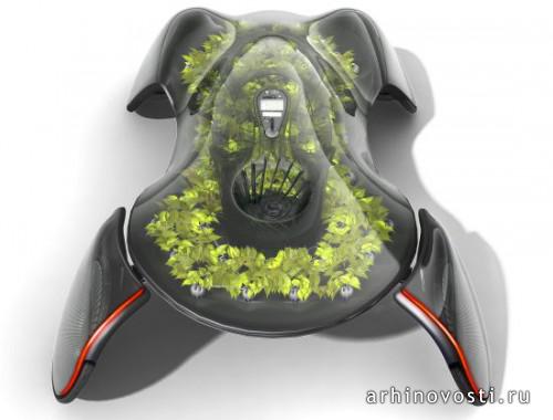 Photosynthesis Car