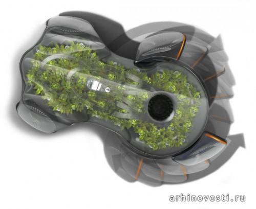 Photosynthesis Car