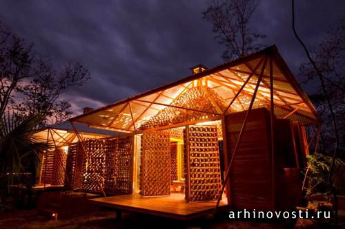 A Forest for a Moon Dazzler A Forest for a Moon Dazzler