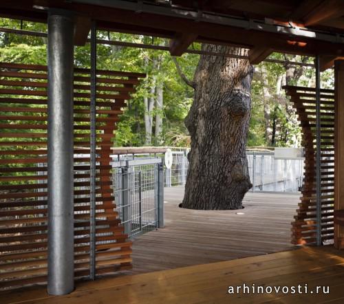 "Приключение на дереве" (Tree Adventure), проект Меткалфе Аркитекче энд Дизайн (Metcalfe Architecture & Design), Филадельфия, Америка.
