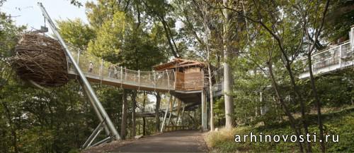 "Приключение на дереве" (Tree Adventure), проект Меткалфе Аркитекче энд Дизайн (Metcalfe Architecture & Design), Филадельфия, Америка.