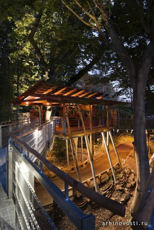 "Приключение на дереве" (Tree Adventure), проект Меткалфе Аркитекче энд Дизайн (Metcalfe Architecture & Design), Филадельфия, Америка.