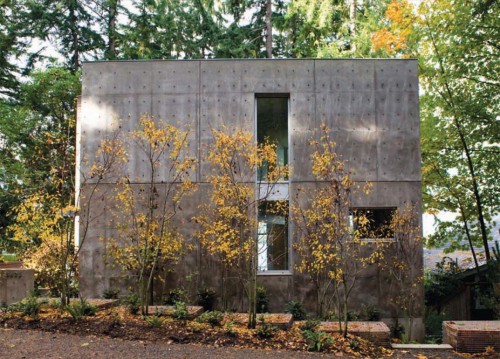 Жилой дом Dorsey Residence, проект бюро Coates Design, Вашингтон, Америка.