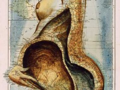 Что наша жизнь?  Vanitas!