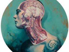 Что наша жизнь?  Vanitas!