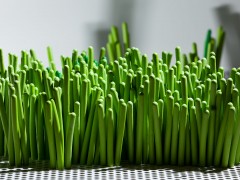 Пинигин Игорь - Водяной ковер