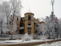 Дача Эльзы