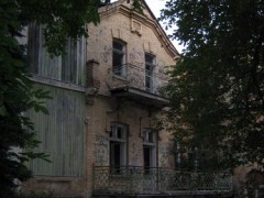 Дача Эльзы
