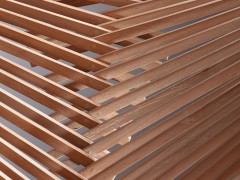 Шикаренко Екатерина - Зима как состояние Воды