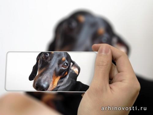 Fujitsu Brick от Шаочэн Хуан (Shaocheng Huang) и Юинь Хуан (Yuyin Huang).