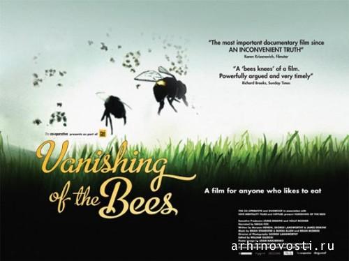 Исчезновение пчел, Vanishing of the Bees