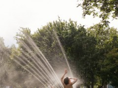 Moscow Flower Show