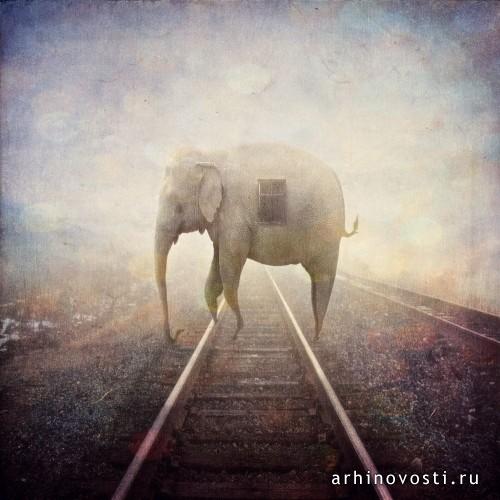 Фотоманипуляции от Майкла Винсента Манало (Michael Vincent Manalo).
