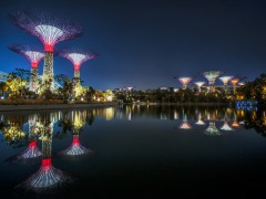 Парк «Gardens by the Bay» от Grant Associates. Сингапур.