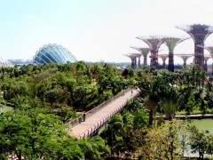 Парк «Gardens by the Bay» от Grant Associates. Сингапур.