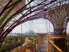 Парк «Gardens by the Bay» от Grant Associates. Сингапур.