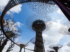 Парк «Gardens by the Bay» от Grant Associates. Сингапур.
