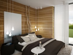 Проект «Patio House». Киев, Украина. Проект «Patio House». Киев, Украина.