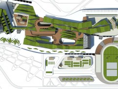 Проект школы-интерната. Остров Русский, Россия.
