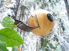 Круглые дома на деревьях от Тома Чадлейга (Tom Chudleigh).