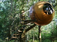 Круглые дома на деревьях от Тома Чадлейга (Tom Chudleigh).