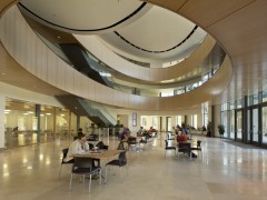 Новые здания для Колледжа бизнеса от ikon.5 architects. Новый Орлеан, США. Новые здания для Колледжа бизнеса от ikon.5 architects. Новый Орлеан, США.