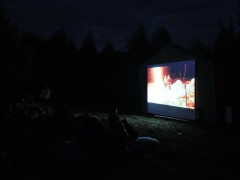 26-28 июля, 2013 года. АРХСТОЯНИЕ 2013. ВЫХОД ИЗ ЛЕСА. Никола-Ленивец, Россия.